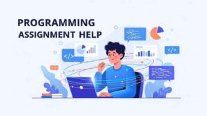 Programming Assignment Help