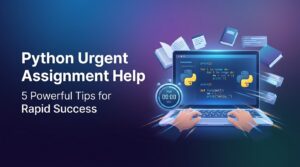 python urgent assignment help